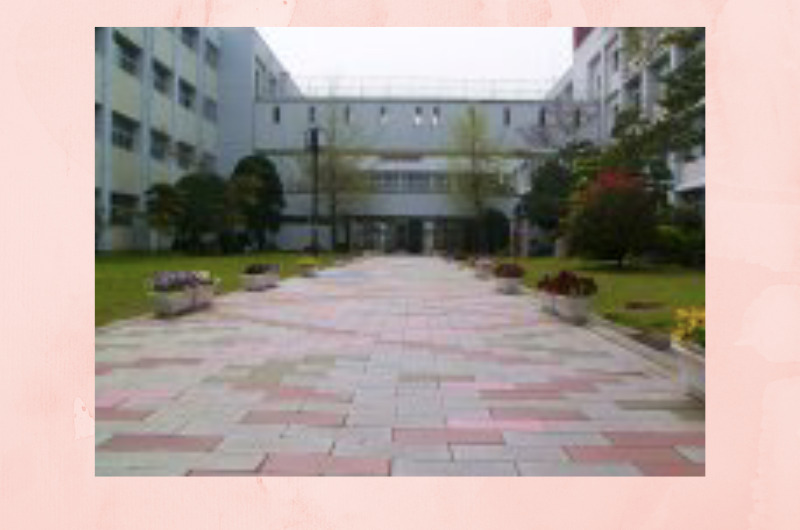 学校