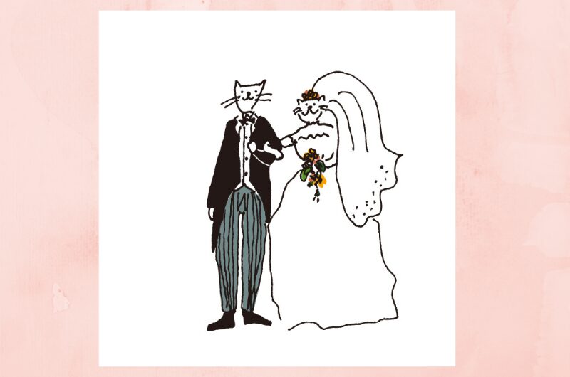 結婚,猫